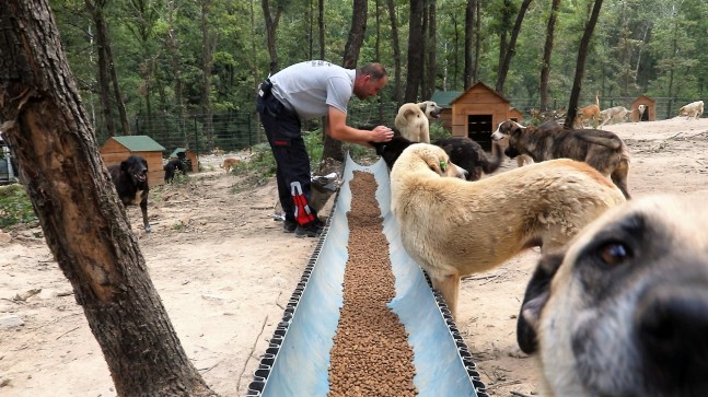 Beykoz Hayvan Rehabilitasyon Merkezi’ne Yönelik İftiralarla İlgili Açıklama