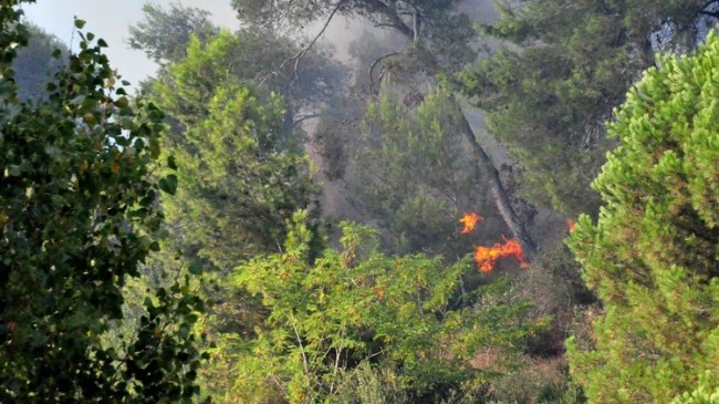 Beykoz Gümüşsuyu’nda ağaçlık alanda yangın