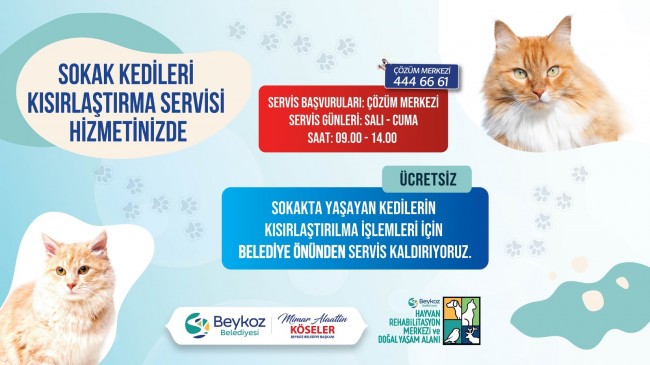 Beykoz’da Kısırlaştırma Seferberliği